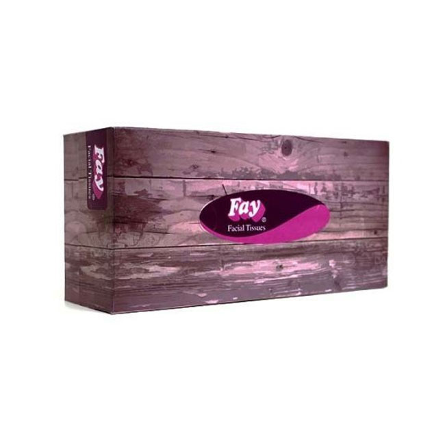 fay-facial-tissues-100-pcs